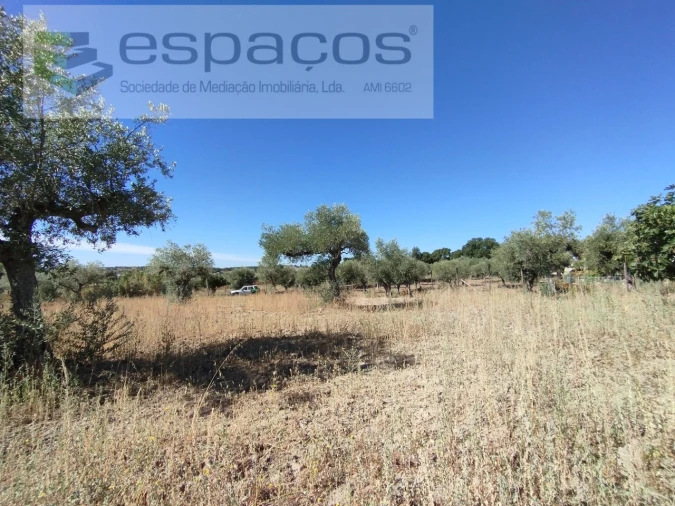 Quinta T1 para Venda em Escalos de Cima e Lousa Foto 25