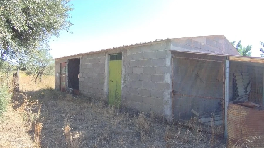 Terreno para Venda em Escalos de Cima e Lousa