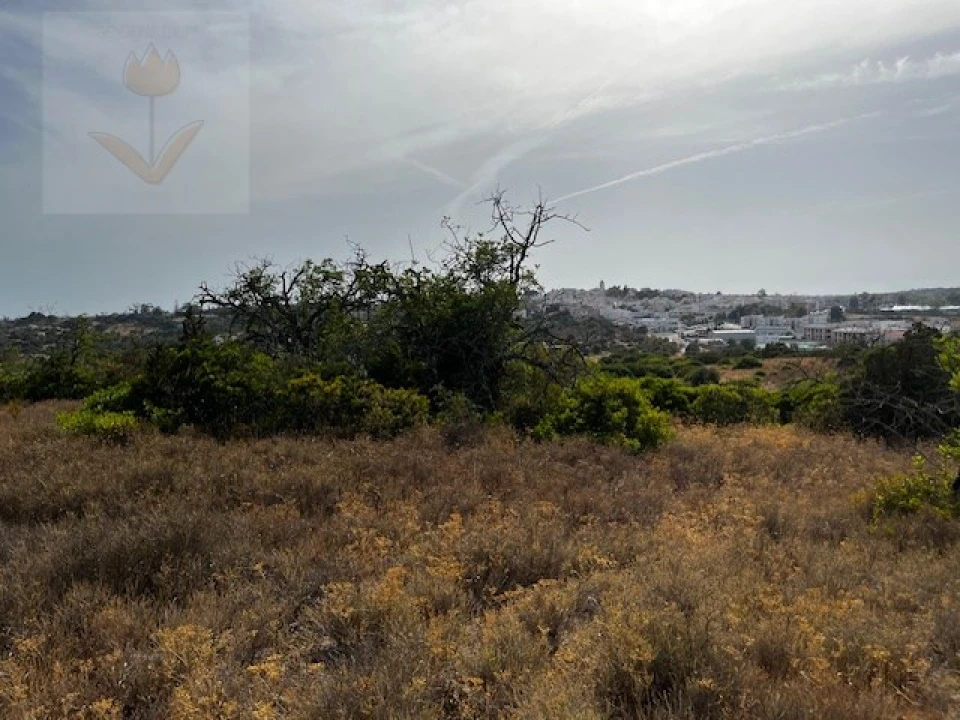 Terreno para Venda em Lagoa e Carvoeiro Foto 7