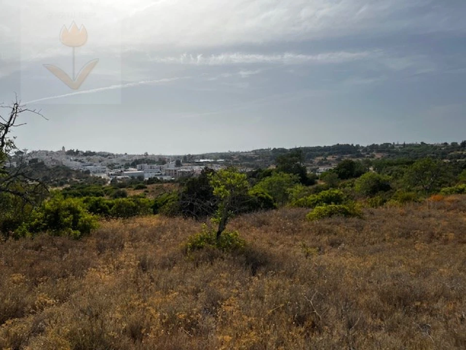 Terreno para Venda em Lagoa e Carvoeiro Foto 8