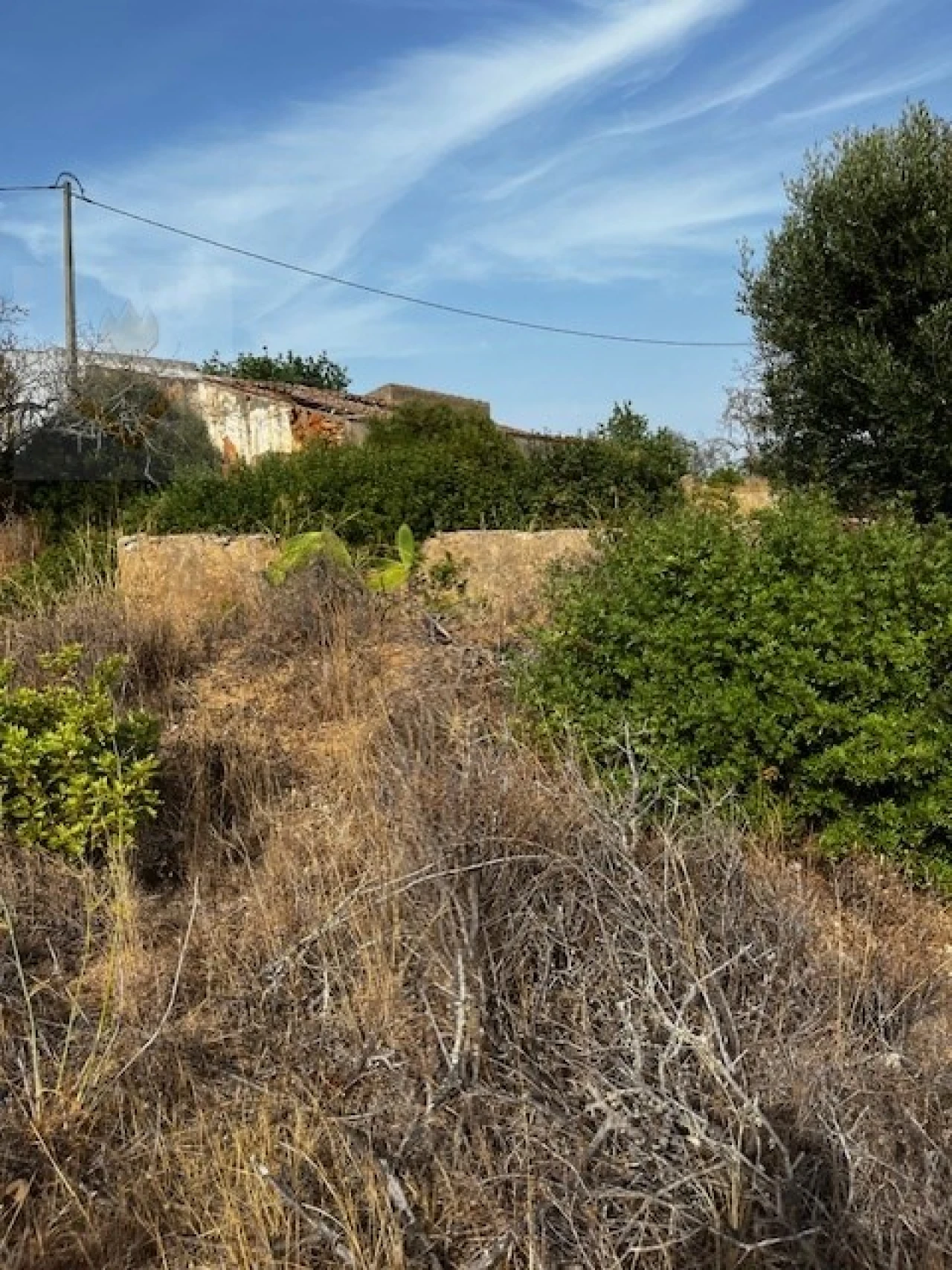 Terreno para Venda em Lagoa e Carvoeiro Foto 12