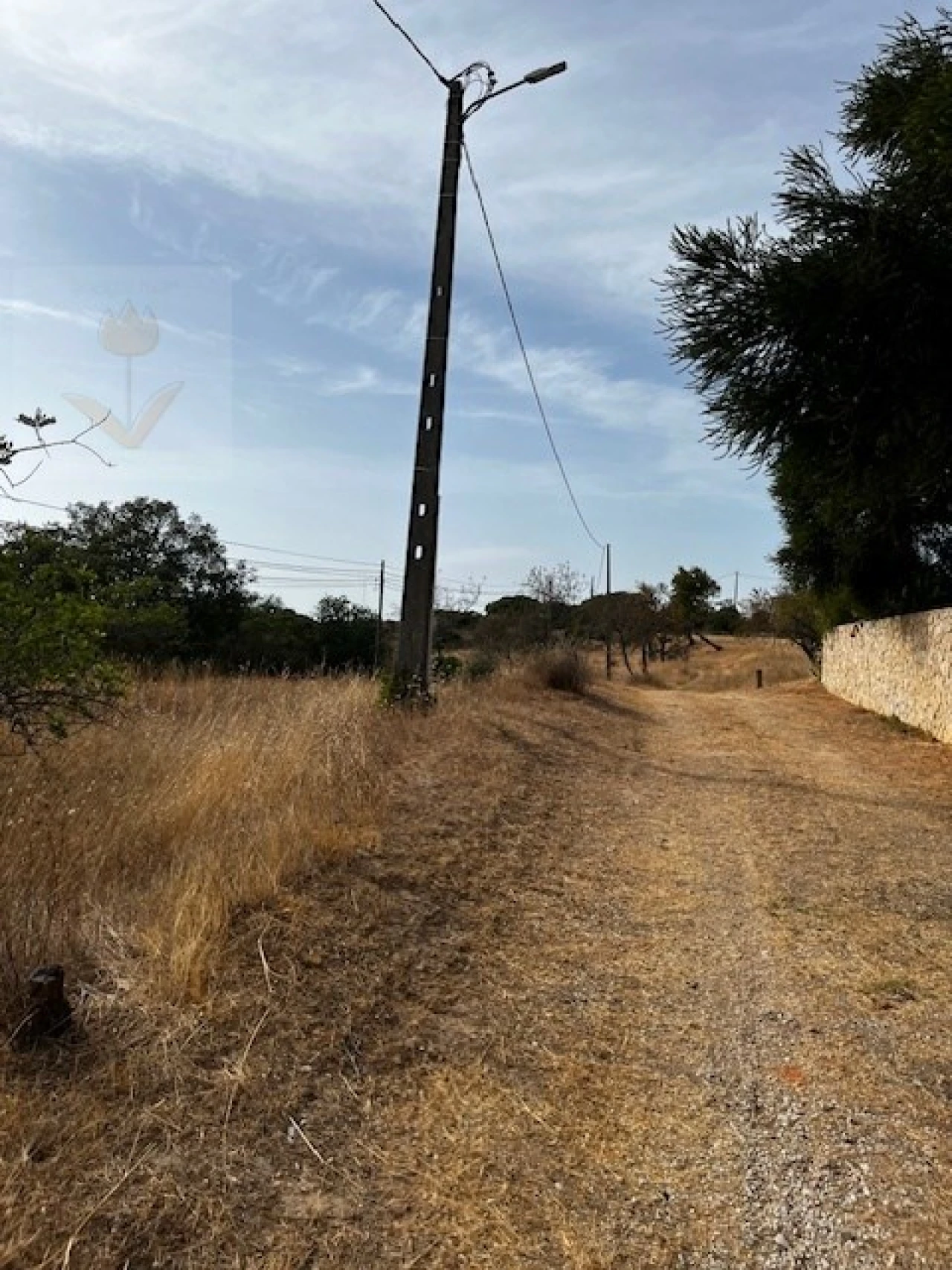Terreno para Venda em Lagoa e Carvoeiro Foto 16