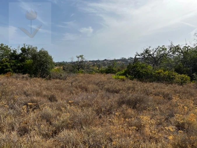 Terreno para Venda em Lagoa e Carvoeiro Foto 10