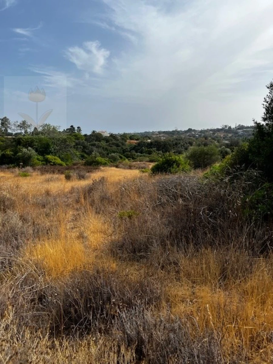 Terreno para Venda em Lagoa e Carvoeiro Foto 13