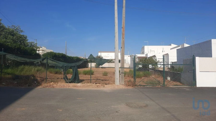 Terreno para Venda em Montenegro Foto 4