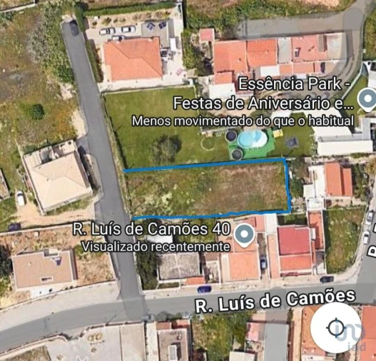 Terreno para Venda em Montenegro Foto 6