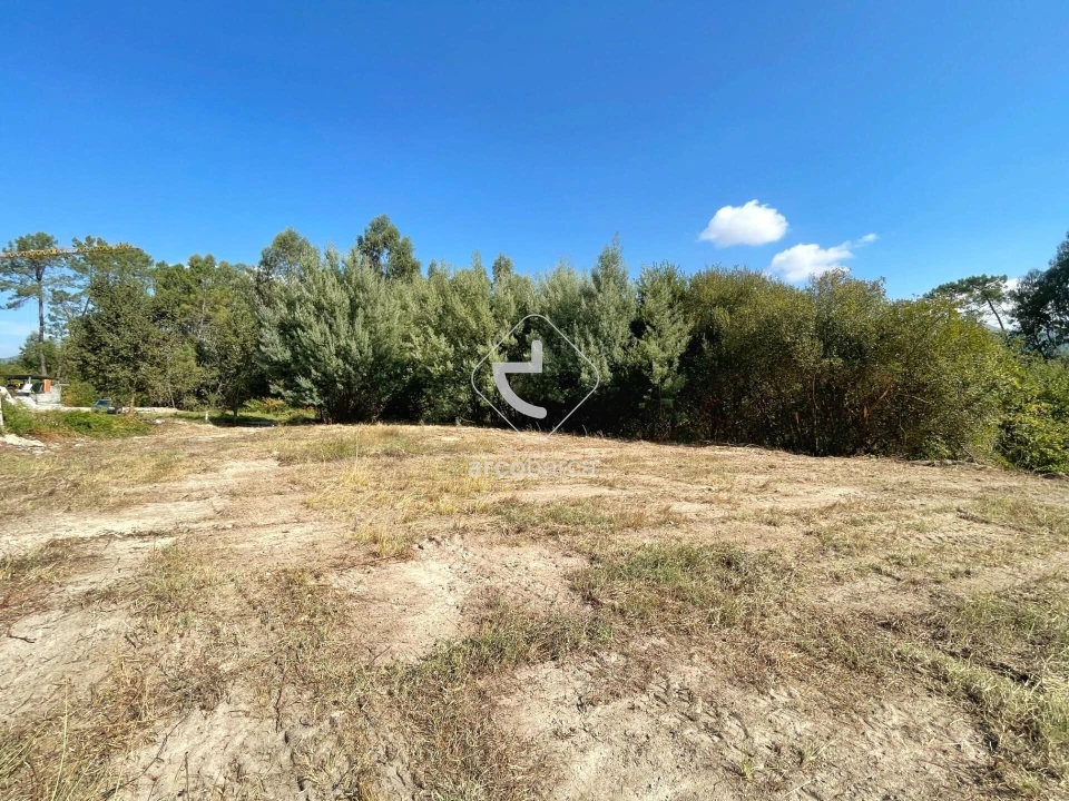 Terreno para Venda em Aguiã Foto 3