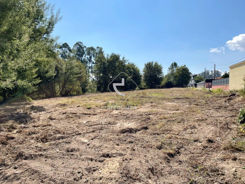 Terreno para Venda em Aguiã Foto 6