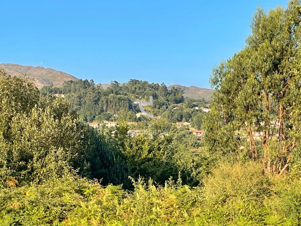 Terreno para Venda em Aguiã Foto 8