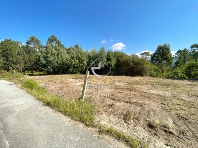 Terreno para Venda em Aguiã Foto 7