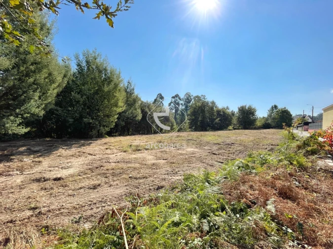 Terreno para Venda em Aguiã Foto 5