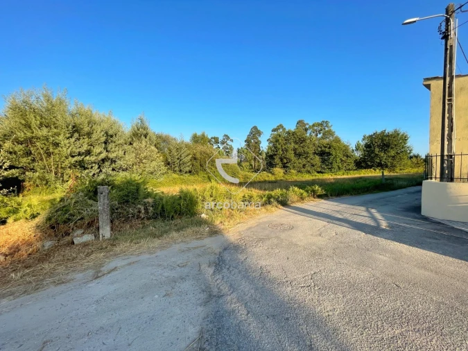 Terreno para Venda em Aguiã Foto 10