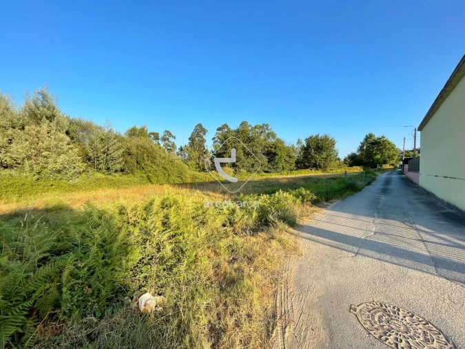 Terreno para Venda em Aguiã Foto 11