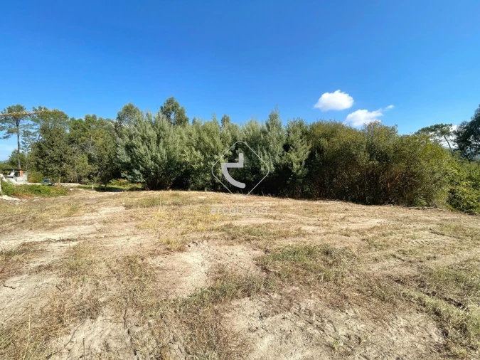 Terreno para Venda em Aguiã Foto 3