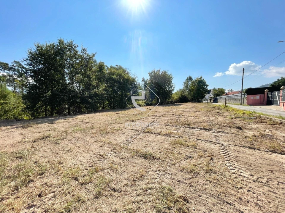 Terreno para Venda em Aguiã Foto 4