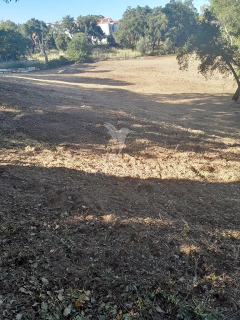 Terreno para Venda em Rio Maior