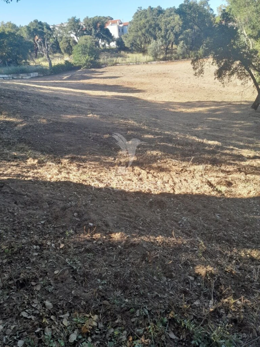 Terreno para Venda em Rio Maior Foto 2
