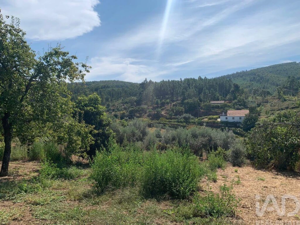 Moradia T3 para Venda em Pedrogão Pequeno Foto 19