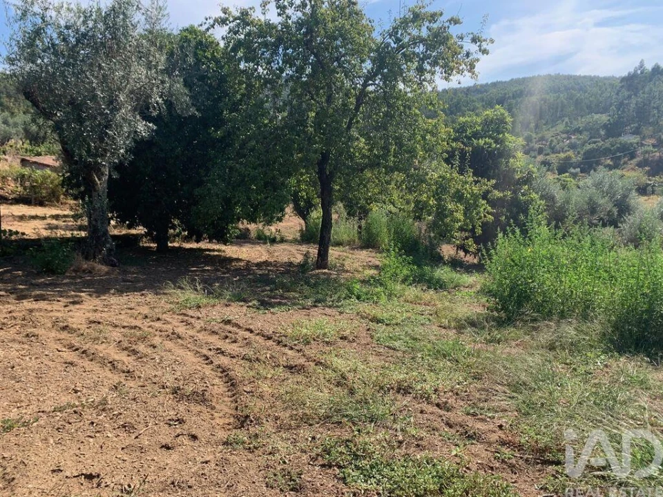 Moradia T3 para Venda em Pedrogão Pequeno Foto 18