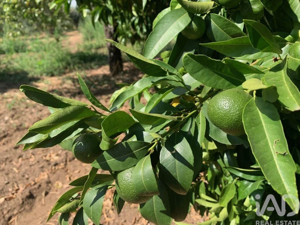 Moradia T3 para Venda em Pedrogão Pequeno Foto 24