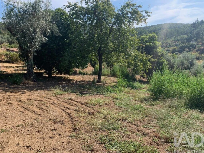 Moradia T3 para Venda em Pedrogão Pequeno Foto 18