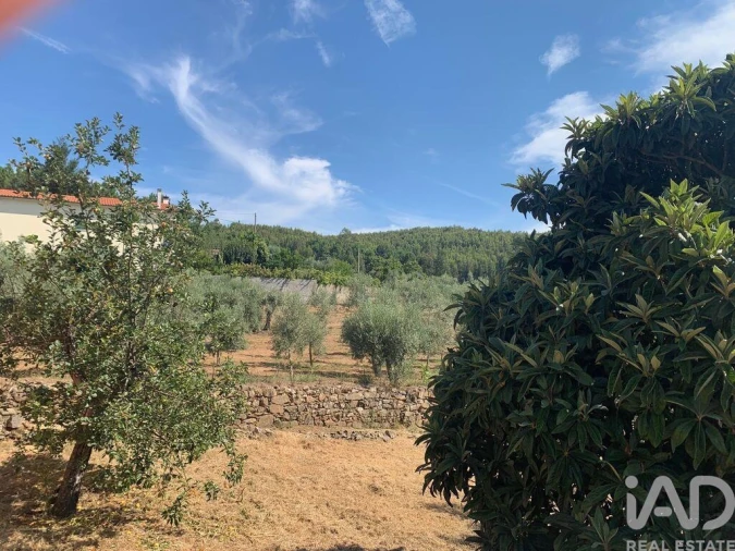 Moradia T3 para Venda em Pedrogão Pequeno Foto 25