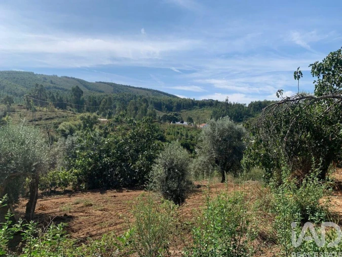 Moradia T3 para Venda em Pedrogão Pequeno Foto 21