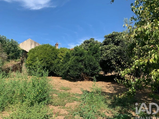 Moradia T3 para Venda em Pedrogão Pequeno Foto 23