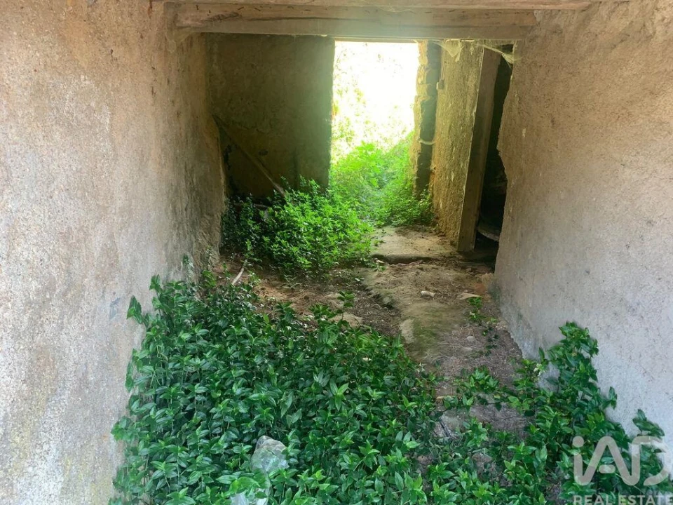 Moradia T3 para Venda em Pedrogão Pequeno Foto 15