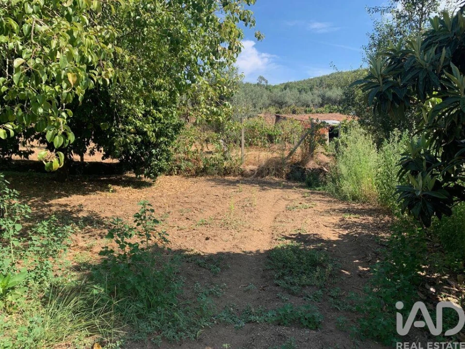 Moradia T3 para Venda em Pedrogão Pequeno Foto 22