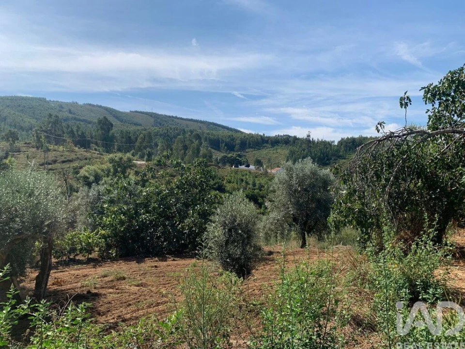 Moradia T3 para Venda em Pedrogão Pequeno Foto 21