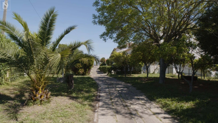 Moradia T7 para Venda em Torres Novas (Santa Maria, Salvador e Santiago) Foto 51