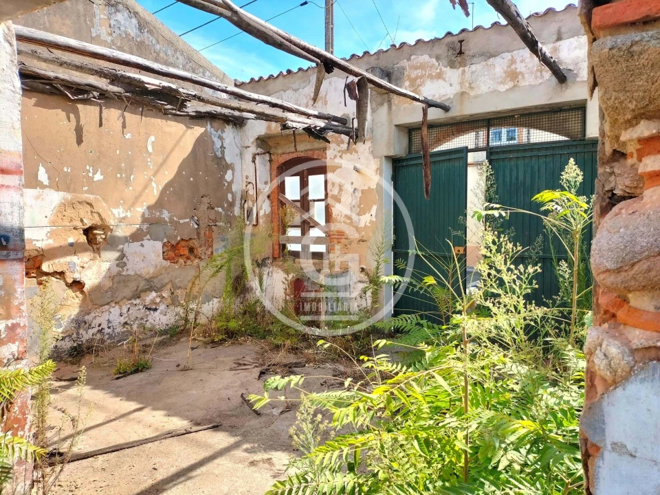 Negócio para Venda em Chamusca e Pinheiro Grande Foto 3