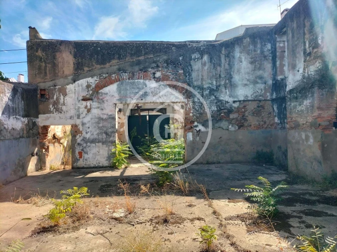 Negócio para Venda em Chamusca e Pinheiro Grande Foto 6