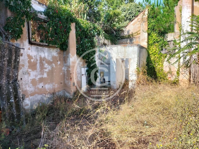 Negócio para Venda em Chamusca e Pinheiro Grande Foto 5