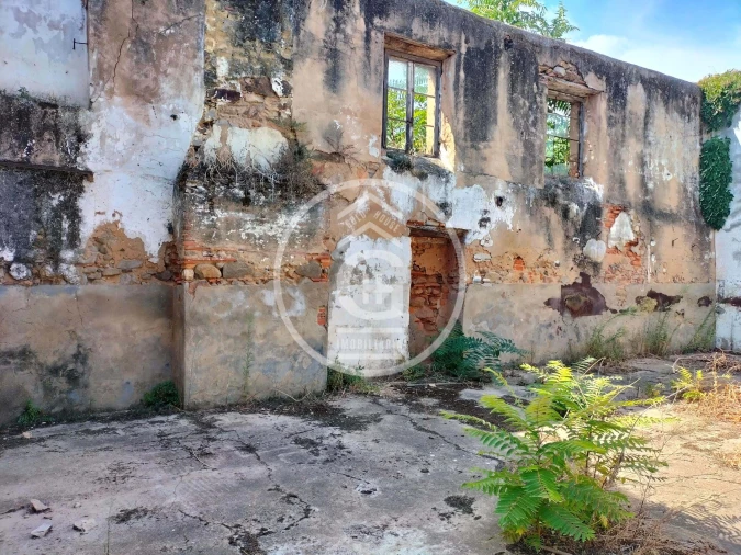 Negócio para Venda em Chamusca e Pinheiro Grande Foto 4