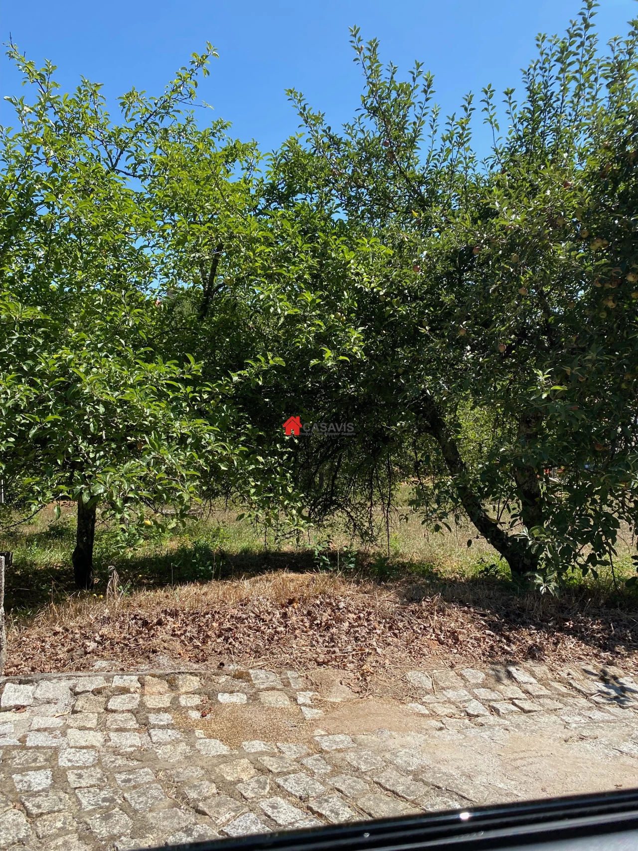 Terreno para Venda em Queiriga Foto 3