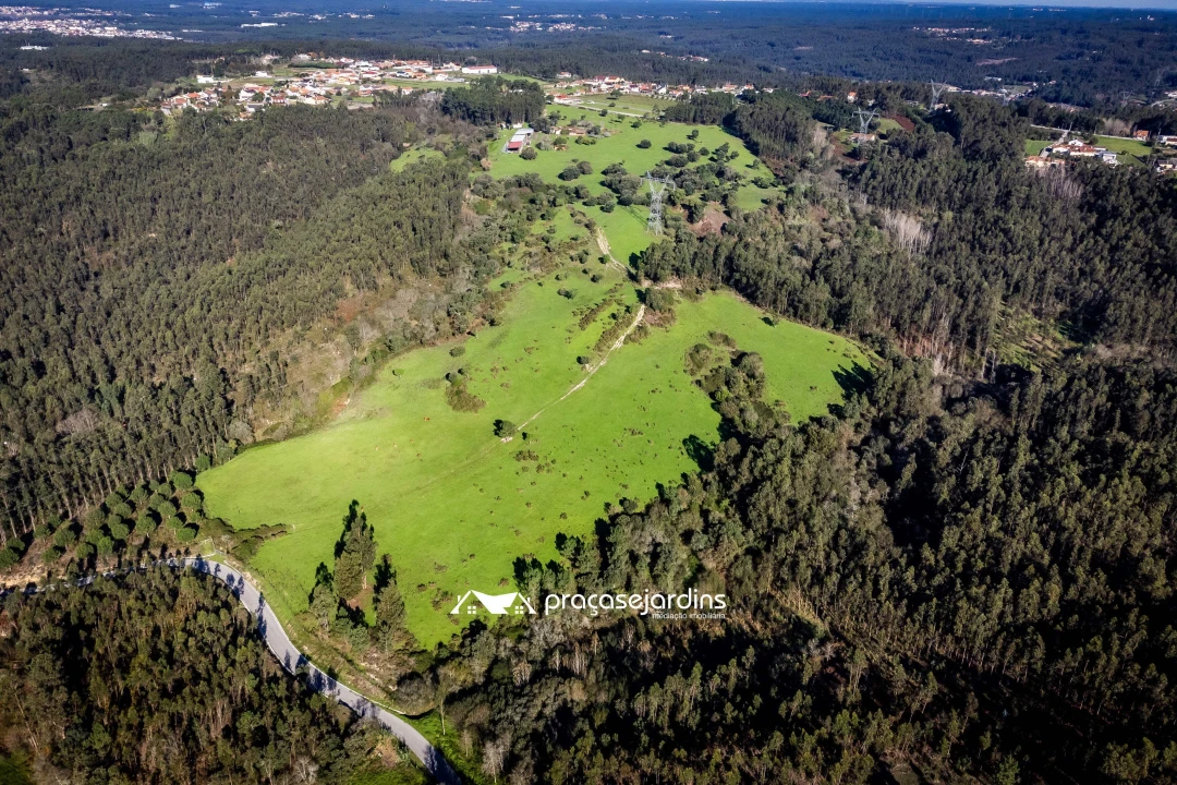 Quinta T0 para Venda em Souto da Carpalhosa e Ortigosa Foto 2