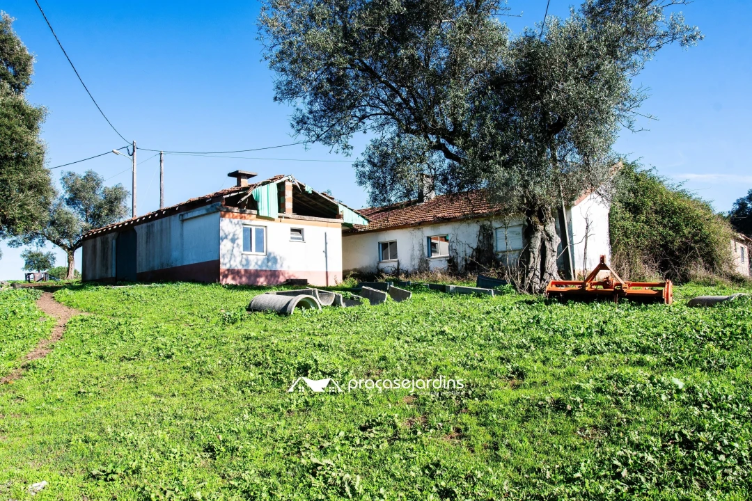 Quinta T0 para Venda em Souto da Carpalhosa e Ortigosa Foto 16