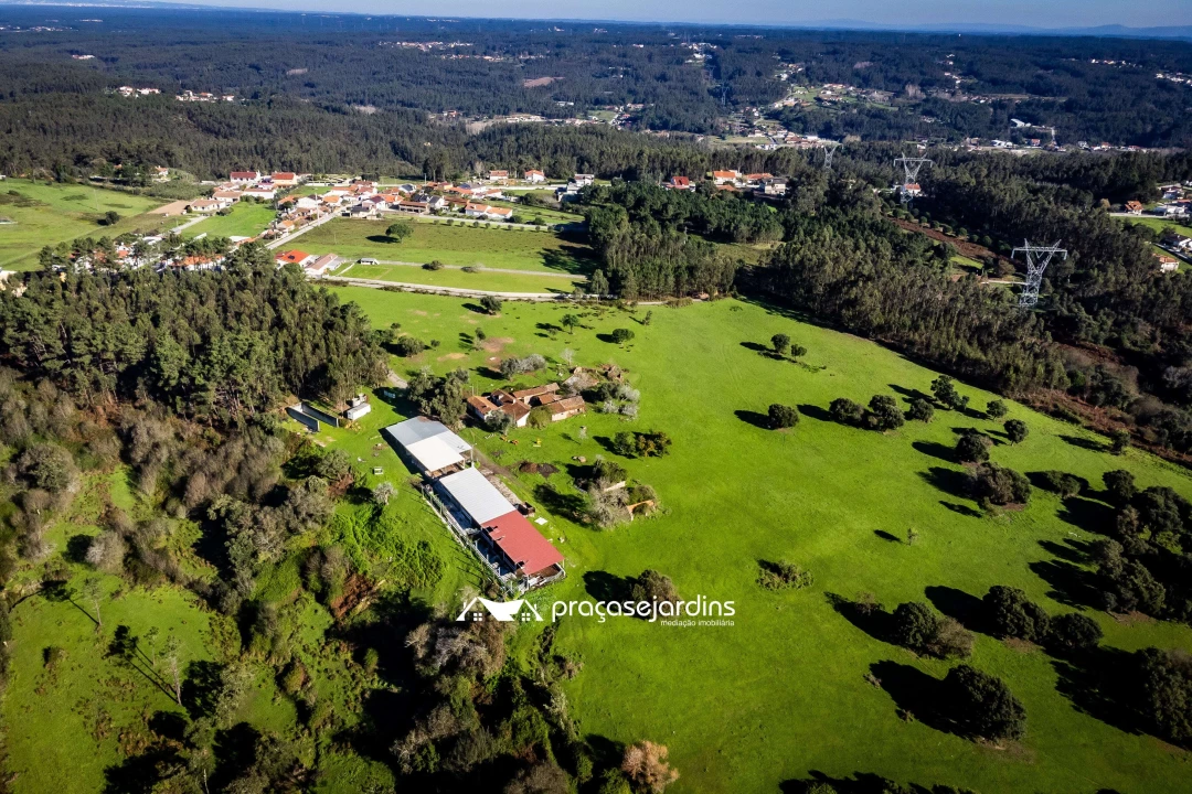 Quinta T0 para Venda em Souto da Carpalhosa e Ortigosa Foto 6