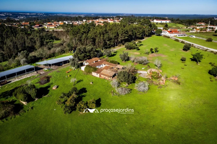 Quinta T0 para Venda em Souto da Carpalhosa e Ortigosa Foto 13