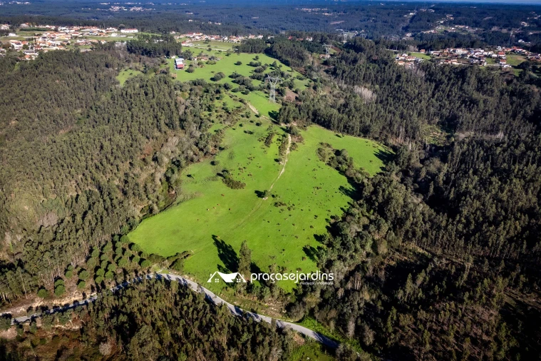 Quinta T0 para Venda em Souto da Carpalhosa e Ortigosa Foto 3
