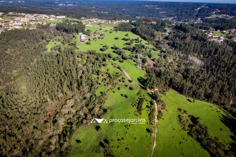 Quinta T0 para Venda em Souto da Carpalhosa e Ortigosa Foto 4
