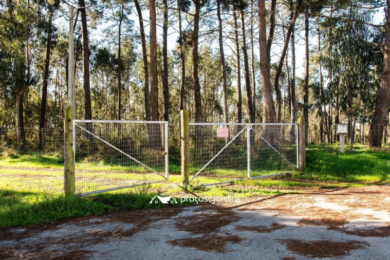 Quinta T0 para Venda em Souto da Carpalhosa e Ortigosa Foto 14