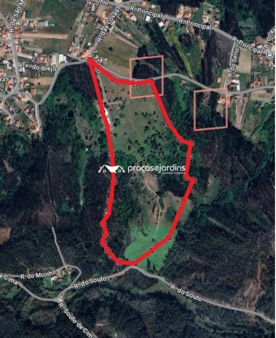 Quinta T0 para Venda em Souto da Carpalhosa e Ortigosa Foto 1