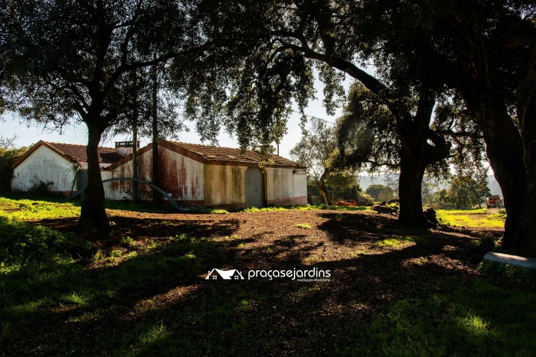 Quinta T0 para Venda em Souto da Carpalhosa e Ortigosa Foto 15