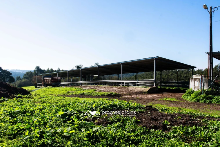 Quinta T0 para Venda em Souto da Carpalhosa e Ortigosa Foto 18