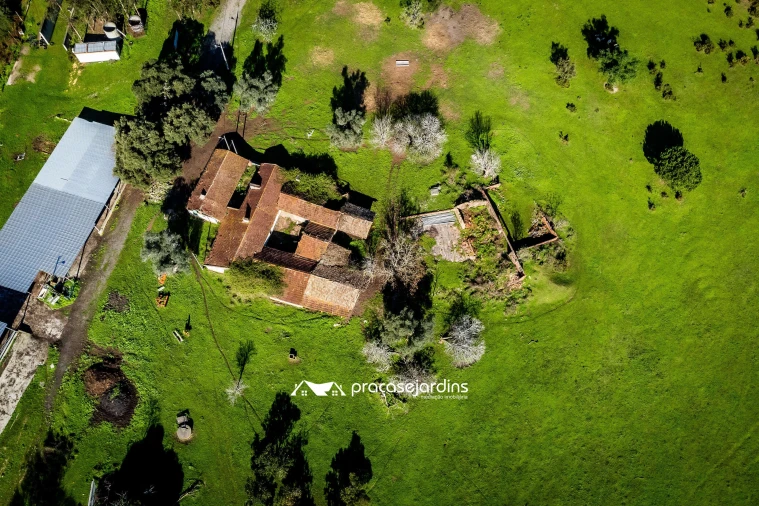 Quinta T0 para Venda em Souto da Carpalhosa e Ortigosa Foto 9