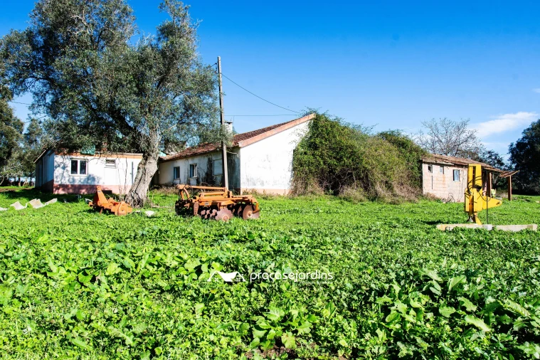 Quinta T0 para Venda em Souto da Carpalhosa e Ortigosa Foto 17