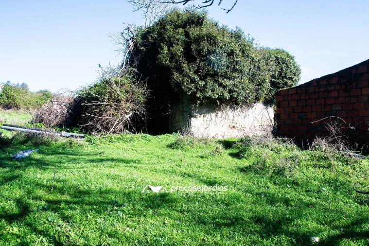 Quinta T0 para Venda em Souto da Carpalhosa e Ortigosa Foto 20